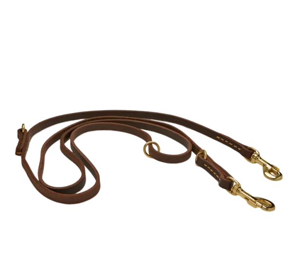 A brown leather dog leash with two gold metal clips.