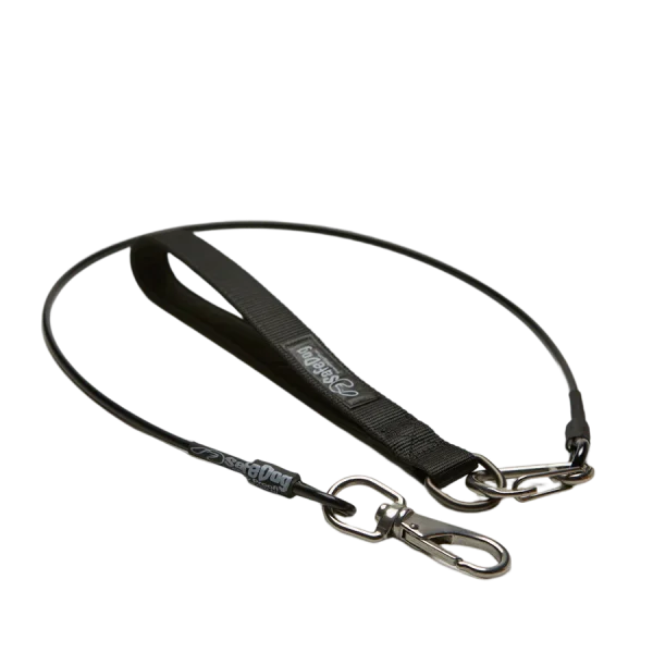 A black leather strap with two metal hooks.