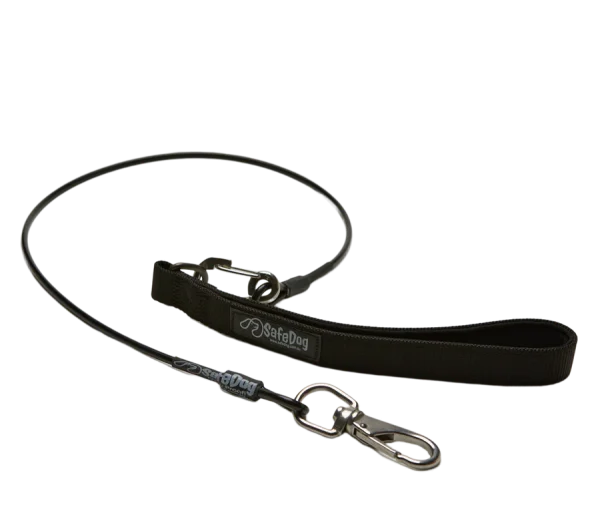 A black leash with silver hardware on it.