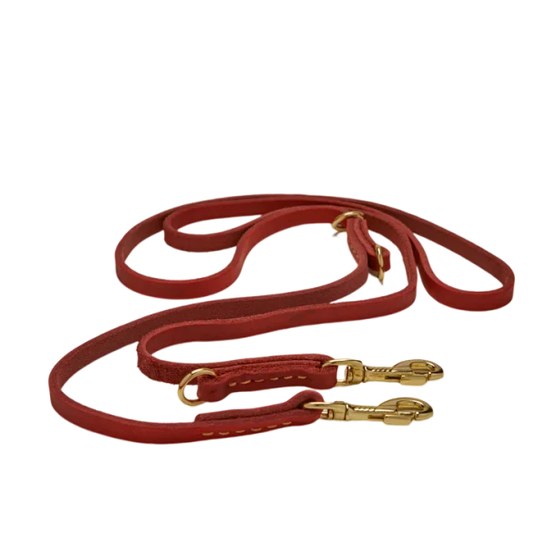 A red leash with gold colored clasps.