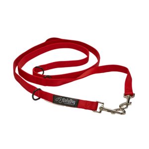 A red leash with two metal clasps.